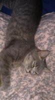 IMG_20180525_113534-01.jpeg