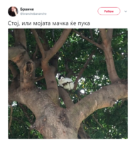 Capture.PNG