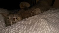 IMG_20180526_112353.jpg