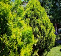 IMG_20180526_125610.jpg