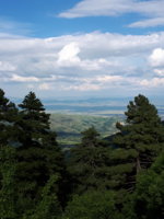 20180527_161818.jpg