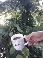 20180528_092306.jpg