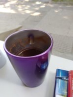 IMG_20180529_091938.jpg