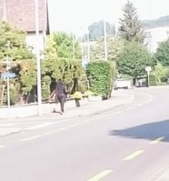 _20180529_115314.JPG