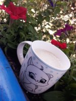 20180531_114119.jpg