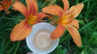 20180602_172547.jpg