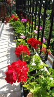20180603_102817.jpg