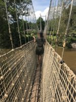 IMG_20180604_172803.jpg