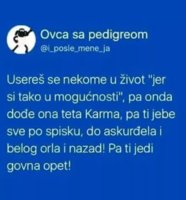 FB_IMG_1528031469743.jpg