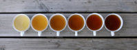 teaBanner.jpg.pagespeed.ce.M5k4WYkfRY.jpg