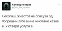FB_IMG_1528089826352.jpg