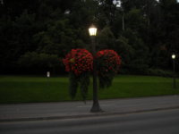 DSCN0207.JPG