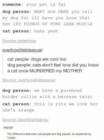 FB_IMG_1528357264328.jpg