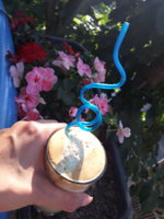20180607_181423.jpg