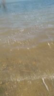 IMG_20180609_122112.jpg