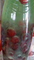 20180610_143520.jpg