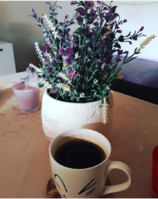 20180611_150945.png