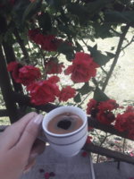 20180613_103045.jpg