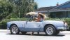 funny-pictures-of-women-driver-fails12.jpg