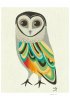 Sooty_Owl_low_res.jpg