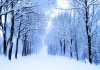 733_winter_jpg736f5129fe90cf726767b76e36fef836.jpg