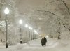 moscow-park-snow.jpg