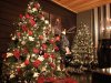 ChristmasTrees.jpg