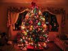 xmastree.jpg