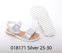 018171 Silver 25-30.jpg