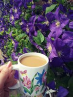 20180617_220942.jpg