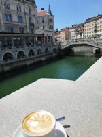 IMG_20180619_115542.jpg
