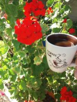 20180620_162319.jpg