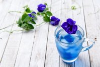 bluechai-fresh-butterfly-pea-flowers.jpg