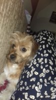20180621_093527.jpg