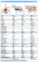 carnivore-herbivore-omnnivore-comparison.jpg
