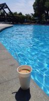 20180623_143958.jpg