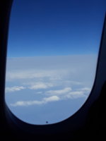20180625_131850.jpg
