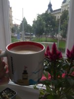 IMG_20180626_100811.jpg
