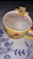 IMG_20180629_100153_760.jpg