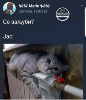 20180630_120311.png