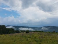 20180619_174828.jpg