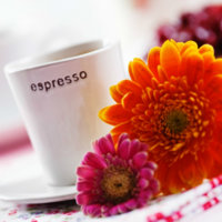 Spring_coffee_morning_small.jpg