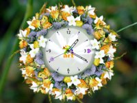 Flower-Wallpaper-flowers-249406_1024_768.jpg