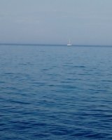 IMG_20180713_201120_828.jpg