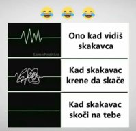 FB_IMG_1531582438234.jpg