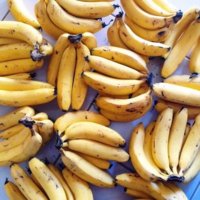 230804-Batch-Of-Bananas.jpg