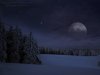 free_wallpaper_1024x768_christmas_night_full_moon_snow_forest.jpg