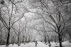 snow_03.jpg