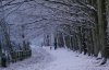 snow-scene.original.jpg