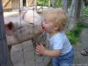 piggy and baby.jpg